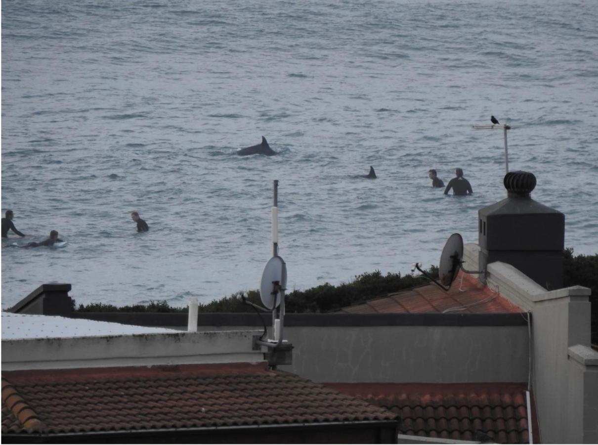 Ferienwohnung Surfstar At Mimosa Jeffreys Bay Exterior foto