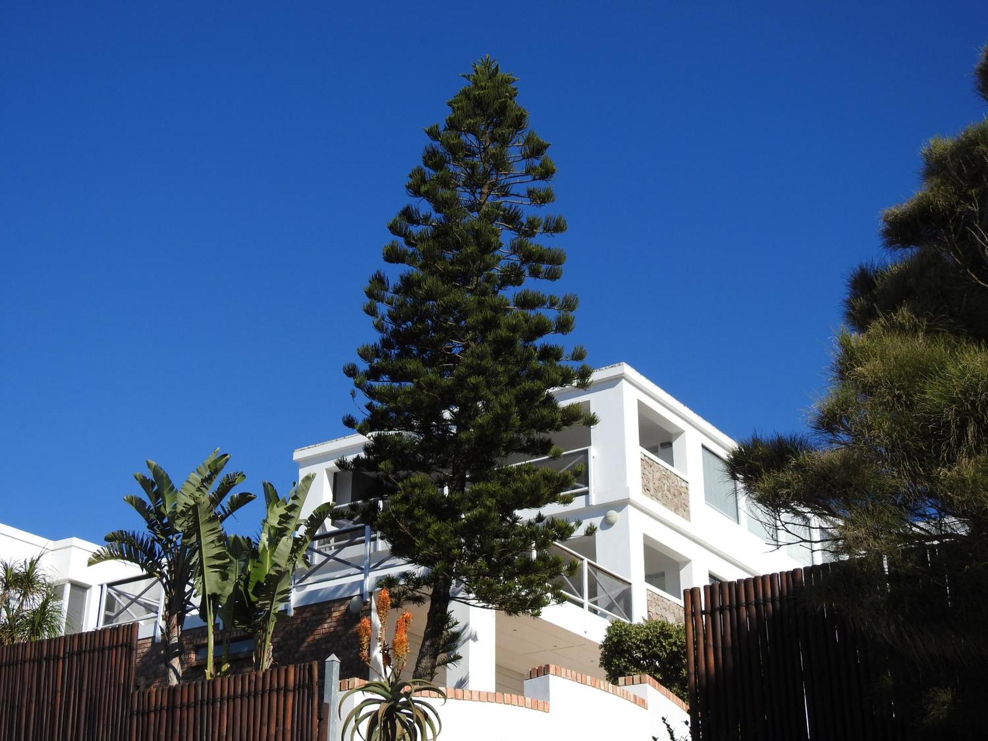 Ferienwohnung Surfstar At Mimosa Jeffreys Bay Exterior foto
